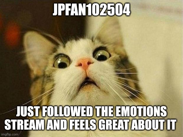 I just followed your stream | JPFAN102504; JUST FOLLOWED THE EMOTIONS STREAM AND FEELS GREAT ABOUT IT | image tagged in memes,scared cat,jpfan102504 | made w/ Imgflip meme maker