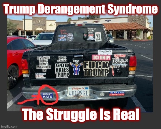 It's A Mockingbird Contagion | Trump Derangement Syndrome; The Struggle Is Real | image tagged in trump derangement syndronme,tds,operation mockingbird,mockingbird victim,jadscomms | made w/ Imgflip meme maker