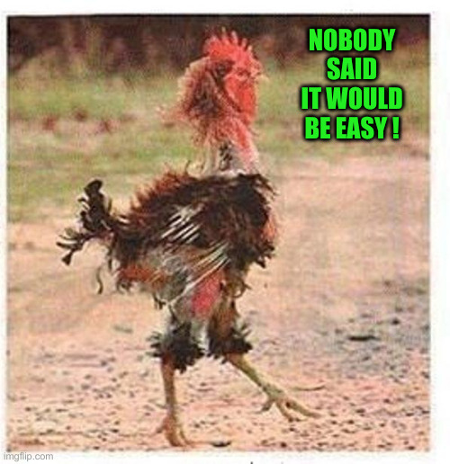 Democrats RN | NOBODY SAID IT WOULD BE EASY ! | image tagged in mangled chicken,funny memes,memes | made w/ Imgflip meme maker