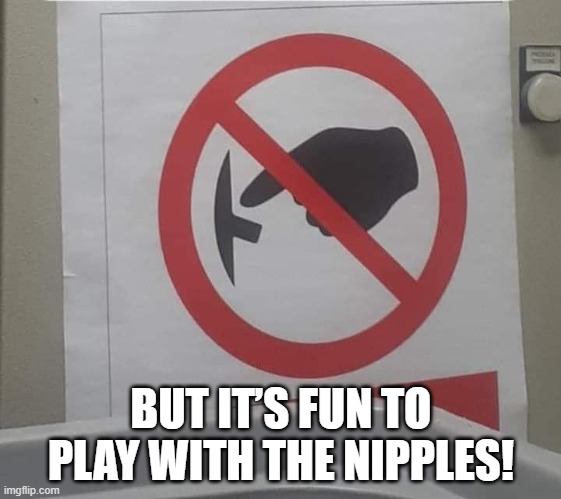 But it’s fun to play with the nipples! | BUT IT’S FUN TO PLAY WITH THE NIPPLES! | image tagged in nipple,tits | made w/ Imgflip meme maker
