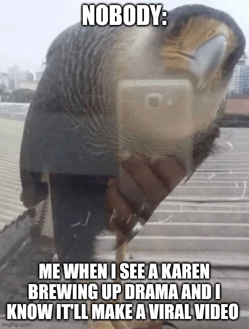 Karen drama | NOBODY:; ME WHEN I SEE A KAREN BREWING UP DRAMA AND I KNOW IT'LL MAKE A VIRAL VIDEO | image tagged in a raptor is recording me,jpfan102504 | made w/ Imgflip meme maker