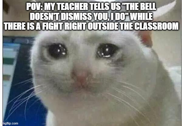 Rip | POV: MY TEACHER TELLS US "THE BELL DOESN'T DISMISS YOU, I DO" WHILE THERE IS A FIGHT RIGHT OUTSIDE THE CLASSROOM | image tagged in crying cat | made w/ Imgflip meme maker