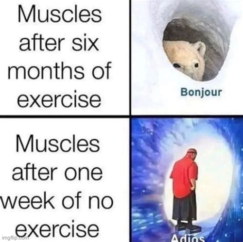 for real lol | image tagged in funny,meme,exercise,hello and goodbye | made w/ Imgflip meme maker