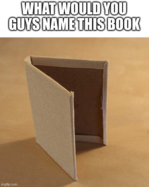 practice ur roasting skills | WHAT WOULD YOU GUYS NAME THIS BOOK | image tagged in the book with no pages | made w/ Imgflip meme maker