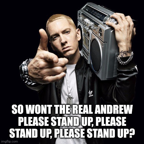 EMINEM | SO WONT THE REAL ANDREW PLEASE STAND UP, PLEASE STAND UP, PLEASE STAND UP? | image tagged in eminem | made w/ Imgflip meme maker