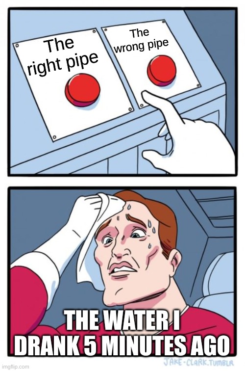 Decisions... | The wrong pipe; The right pipe; THE WATER I DRANK 5 MINUTES AGO | image tagged in memes,two buttons | made w/ Imgflip meme maker