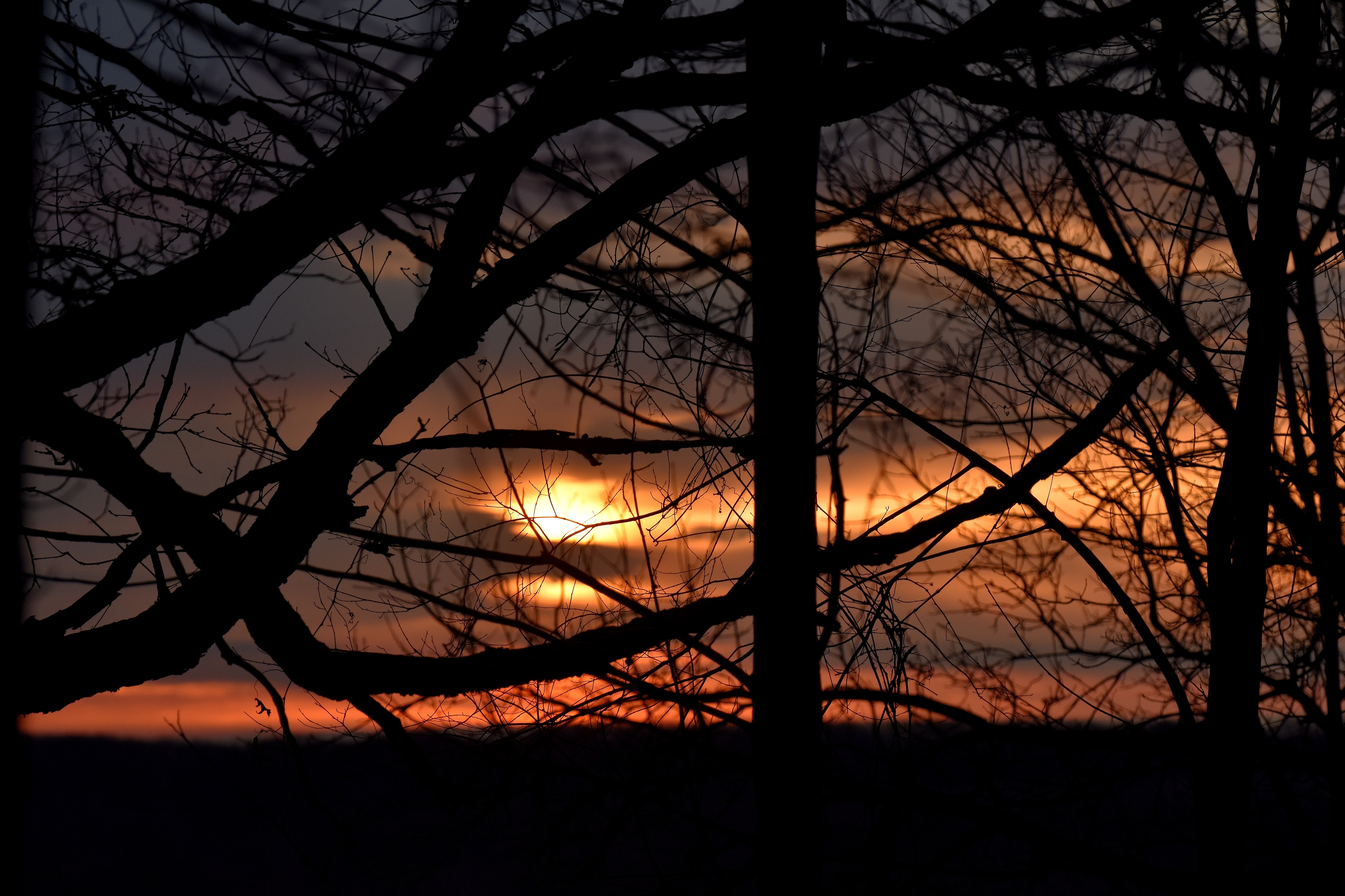 Sunrise through the trees in a cemetery 6:30 am this morning. | image tagged in sunrise,kewlew | made w/ Imgflip meme maker