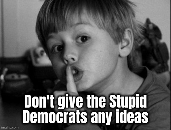 Shhhh | Don't give the Stupid
Democrats any ideas | image tagged in shhhh | made w/ Imgflip meme maker