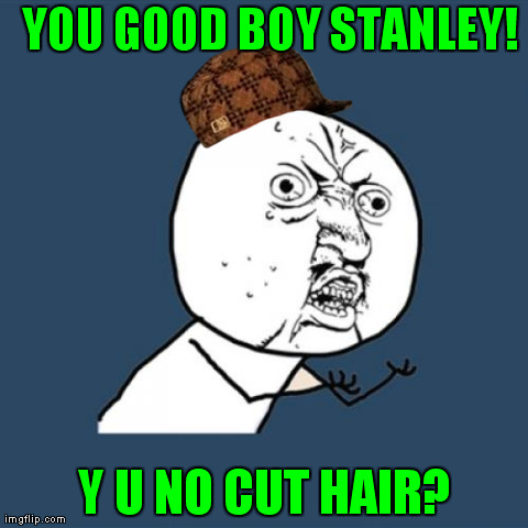 Y U No Meme | YOU GOOD BOY STANLEY! Y U NO CUT HAIR? | image tagged in memes,y u no,scumbag | made w/ Imgflip meme maker