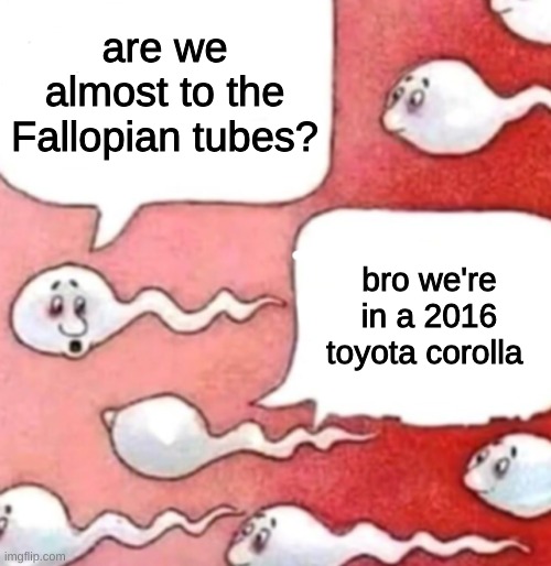 Sperm conversation | are we almost to the Fallopian tubes? bro we're in a 2016 toyota corolla | image tagged in sperm conversation | made w/ Imgflip meme maker