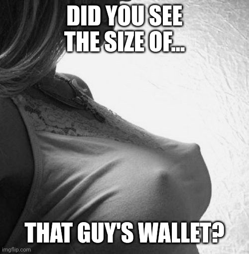 erect nipples | DID YOU SEE THE SIZE OF... THAT GUY'S WALLET? | image tagged in erect nipples | made w/ Imgflip meme maker