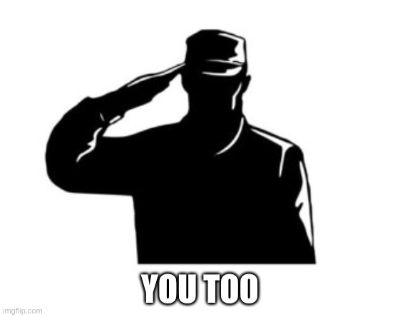 salute  | YOU TOO | image tagged in salute | made w/ Imgflip meme maker
