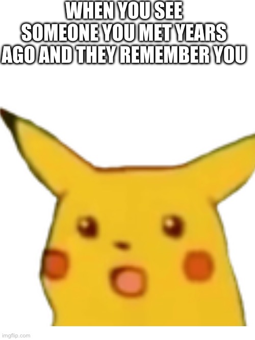 Pika-huh? | WHEN YOU SEE SOMEONE YOU MET YEARS AGO AND THEY REMEMBER YOU | image tagged in surprised pikachu | made w/ Imgflip meme maker