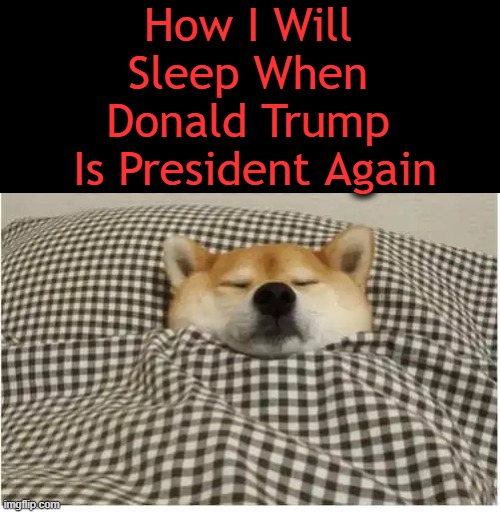 MAGA, NOT Mad Malicious Malarkey | How I Will 
Sleep When 
Donald Trump 
Is President Again | image tagged in donald trump approves,maga,america,safety first,americans first,political humor | made w/ Imgflip meme maker