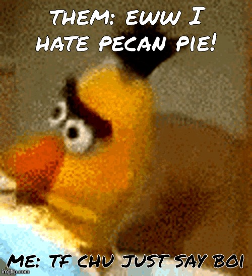 new template btw | them: eww I hate pecan pie! me: tf chu just say boi | image tagged in ernie stupid look | made w/ Imgflip meme maker