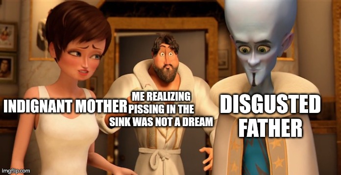 Whoops | ME REALIZING PISSING IN THE SINK WAS NOT A DREAM; DISGUSTED FATHER; INDIGNANT MOTHER | image tagged in metro man panic | made w/ Imgflip meme maker