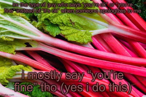 rhubarb | im the type of guy who says “you’re ok” or “you’re fine” instead of “it’s ok” when someone apologizes to me; i mostly say “you’re fine” tho (yes i do this) | image tagged in rhubarb | made w/ Imgflip meme maker