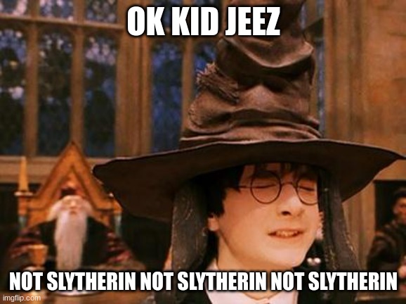 Harry Potter Hat | OK KID JEEZ; NOT SLYTHERIN NOT SLYTHERIN NOT SLYTHERIN | image tagged in harry potter hat | made w/ Imgflip meme maker