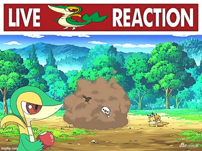 image tagged in live x reaction,snivy watching arguement | made w/ Imgflip meme maker