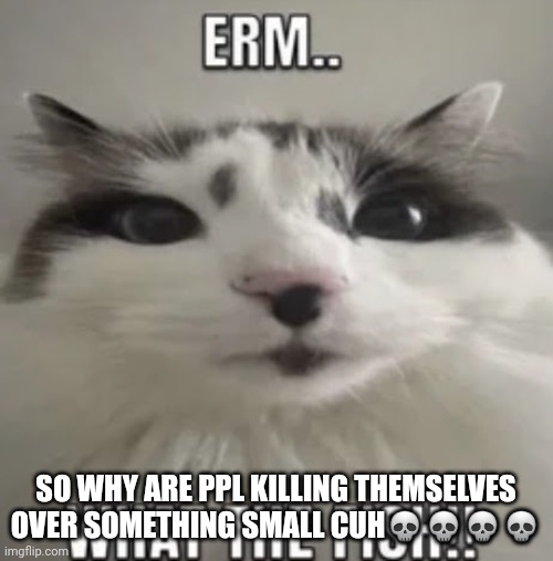 Erm.. What the fish | SO WHY ARE PPL KILLING THEMSELVES OVER SOMETHING SMALL CUH💀💀💀💀 | image tagged in erm what the fish | made w/ Imgflip meme maker