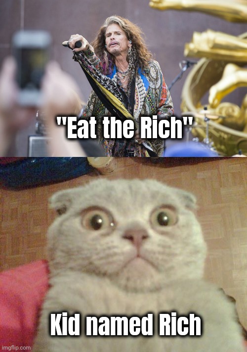 "Eat the Rich" Kid named Rich | image tagged in aerosmith,stunned cat | made w/ Imgflip meme maker