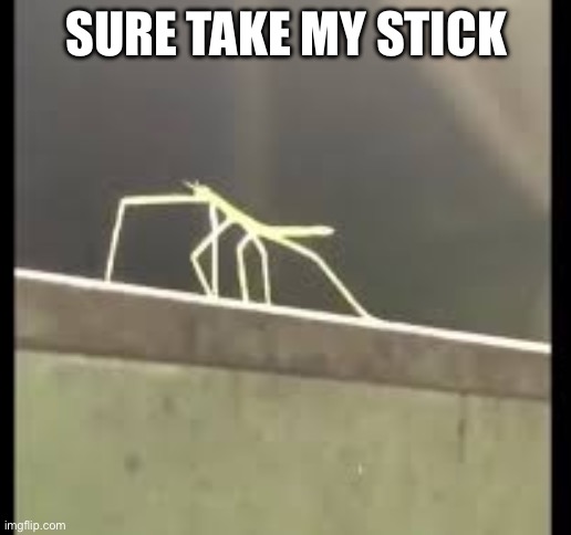 Stickbug | SURE TAKE MY STICK | image tagged in stickbug | made w/ Imgflip meme maker