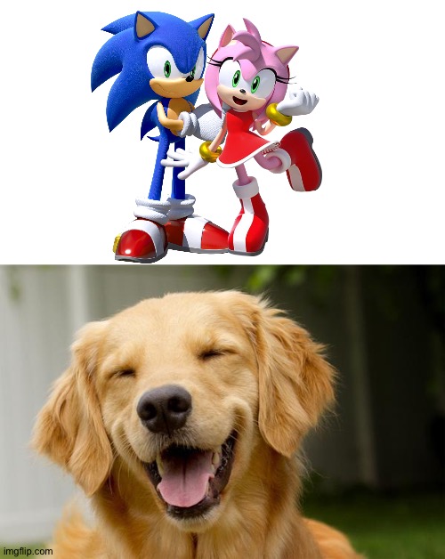 Happy dog loves Sonic and Amy as a couple | image tagged in happy dog,sonic the hedgehog,sonic,amy rose | made w/ Imgflip meme maker