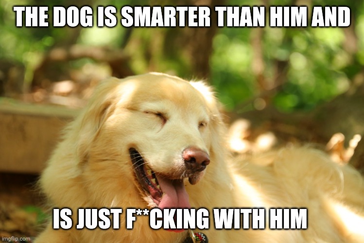 Dog laughing | THE DOG IS SMARTER THAN HIM AND IS JUST F**CKING WITH HIM | image tagged in dog laughing | made w/ Imgflip meme maker