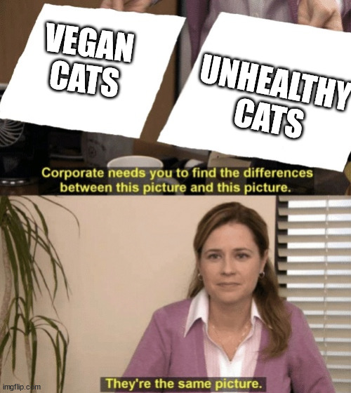 Cats are carnivores and making them vegan is abuse. | VEGAN CATS; UNHEALTHY CATS | image tagged in corporate needs you to find the differences | made w/ Imgflip meme maker