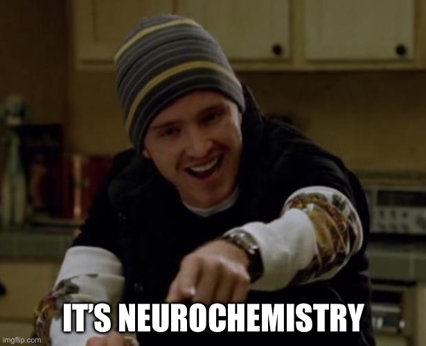 It's Science Bitch! | IT’S NEUROCHEMISTRY | image tagged in it's science bitch | made w/ Imgflip meme maker