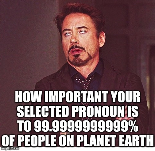 News Flash! You're really not that important. | HOW IMPORTANT YOUR SELECTED PRONOUN IS TO 99.9999999999% OF PEOPLE ON PLANET EARTH | image tagged in rdj boring,transgender,identity crisis,waste of time,liberal logic,life lessons | made w/ Imgflip meme maker