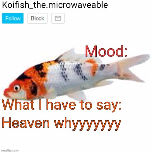 Koifish_the.microwaveable announcement | Heaven whyyyyyyy | image tagged in koifish_the microwaveable announcement | made w/ Imgflip meme maker