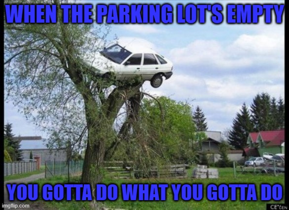 parking | WHEN THE PARKING LOT'S EMPTY; YOU GOTTA DO WHAT YOU GOTTA DO | image tagged in memes,secure parking | made w/ Imgflip meme maker