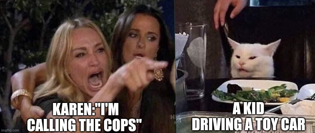 woman yelling at cat | A KID DRIVING A TOY CAR; KAREN:"I'M CALLING THE COPS" | image tagged in woman yelling at cat | made w/ Imgflip meme maker
