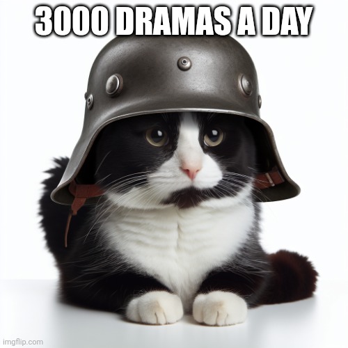 Kaiser_Floppa_the_1st silly post | 3000 DRAMAS A DAY | image tagged in kaiser_floppa_the_1st silly post | made w/ Imgflip meme maker
