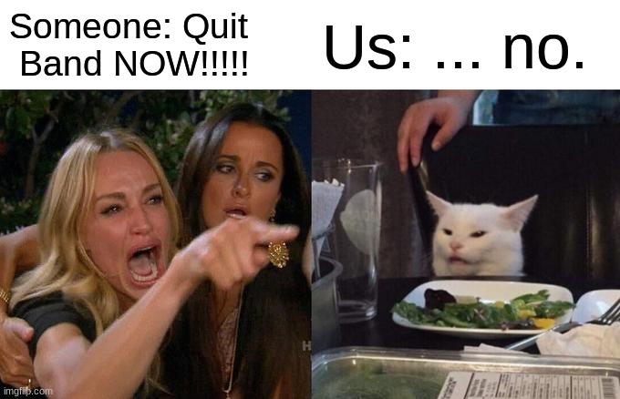 Woman Yelling At Cat Meme | Someone: Quit  Band NOW!!!!! Us: ... no. | image tagged in memes,woman yelling at cat | made w/ Imgflip meme maker