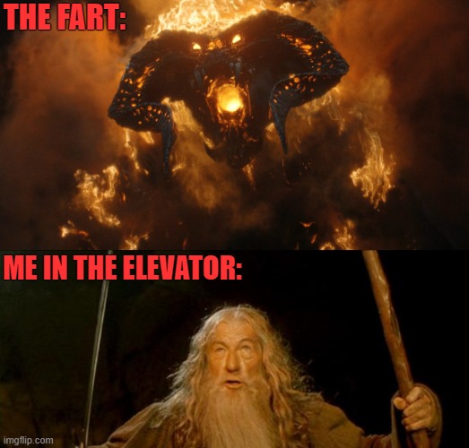 THE FART:; ME IN THE ELEVATOR: | image tagged in lotr,funny,gandalf you shall not pass | made w/ Imgflip meme maker