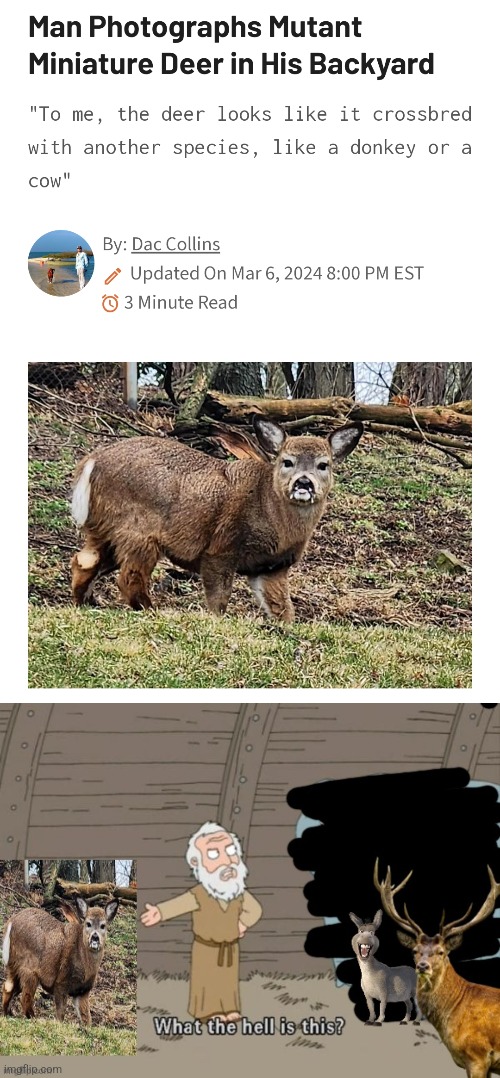 Deerkey | image tagged in noahget the boat | made w/ Imgflip meme maker