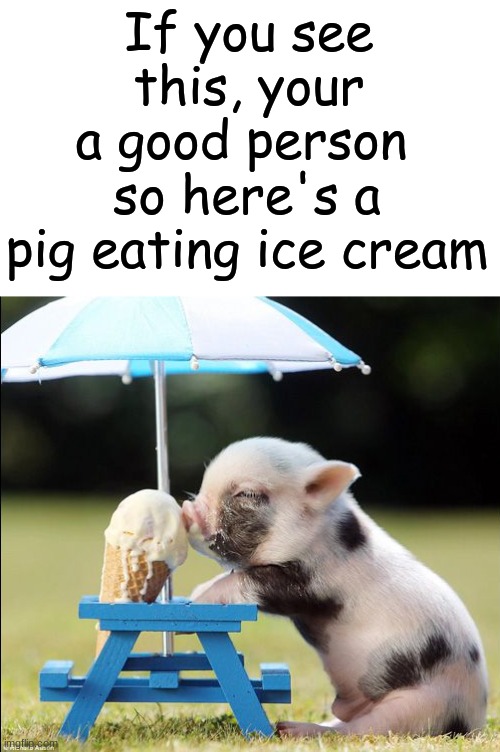happy birthday? | If you see this, your a good person; so here's a pig eating ice cream | image tagged in joe,funny,cute,fun,pig,cave | made w/ Imgflip meme maker