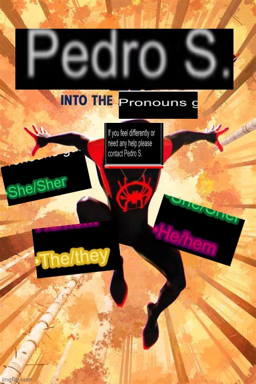 Pronouns guide | image tagged in memes,funny memes,reddit | made w/ Imgflip meme maker