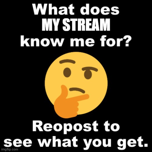 bich | MY STREAM | image tagged in what does ms_memer_group know me for | made w/ Imgflip meme maker