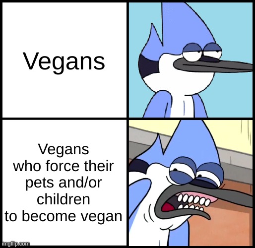 Mind your own damn business! | Vegans; Vegans who force their pets and/or children to become vegan | image tagged in mordecai disgusted,vegan,mind your own business | made w/ Imgflip meme maker