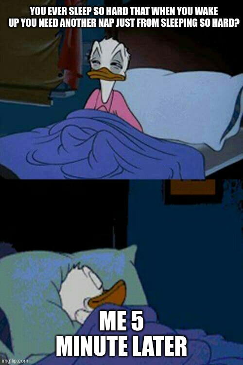 sleepy donald duck in bed | YOU EVER SLEEP SO HARD THAT WHEN YOU WAKE UP YOU NEED ANOTHER NAP JUST FROM SLEEPING SO HARD? ME 5 MINUTE LATER | image tagged in sleepy donald duck in bed | made w/ Imgflip meme maker