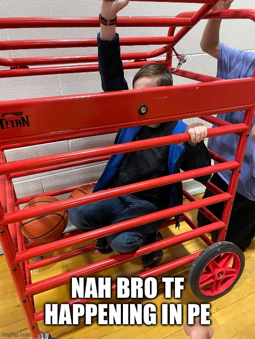 Wtf | NAH BRO TF HAPPENING IN PE | image tagged in slave,cage,lol | made w/ Imgflip meme maker