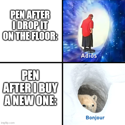 school meme | PEN AFTER I DROP IT ON THE FLOOR:; PEN AFTER I BUY A NEW ONE: | image tagged in adios bonjour | made w/ Imgflip meme maker