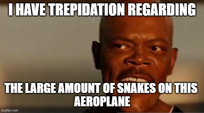 Sir Samuel L Jackson | I HAVE TREPIDATION REGARDING; THE LARGE AMOUNT OF SNAKES ON THIS 
AEROPLANE | image tagged in snakes on the plane samuel l jackson | made w/ Imgflip meme maker