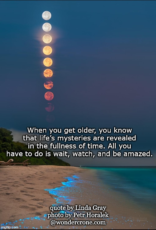 Lunar wisdom | When you get older, you know that life’s mysteries are revealed in the fullness of time. All you have to do is wait, watch, and be amazed. quote by Linda Gray
photo by Petr Horalek
@wondercrone.com | image tagged in wondercrone,lindagray,wisewomen | made w/ Imgflip meme maker