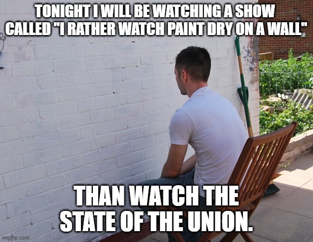 nobody cares!! | TONIGHT I WILL BE WATCHING A SHOW  CALLED "I RATHER WATCH PAINT DRY ON A WALL"; THAN WATCH THE STATE OF THE UNION. | image tagged in watching paint dry,state of the union,democrats,joe biden | made w/ Imgflip meme maker