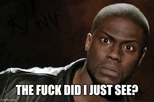 Kevin Hart Meme | THE FUCK DID I JUST SEE? | image tagged in memes,kevin hart | made w/ Imgflip meme maker