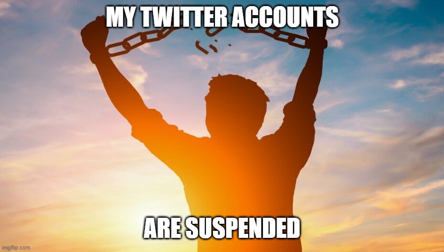 Breaking chains | MY TWITTER ACCOUNTS; ARE SUSPENDED | image tagged in breaking chains,yippee | made w/ Imgflip meme maker